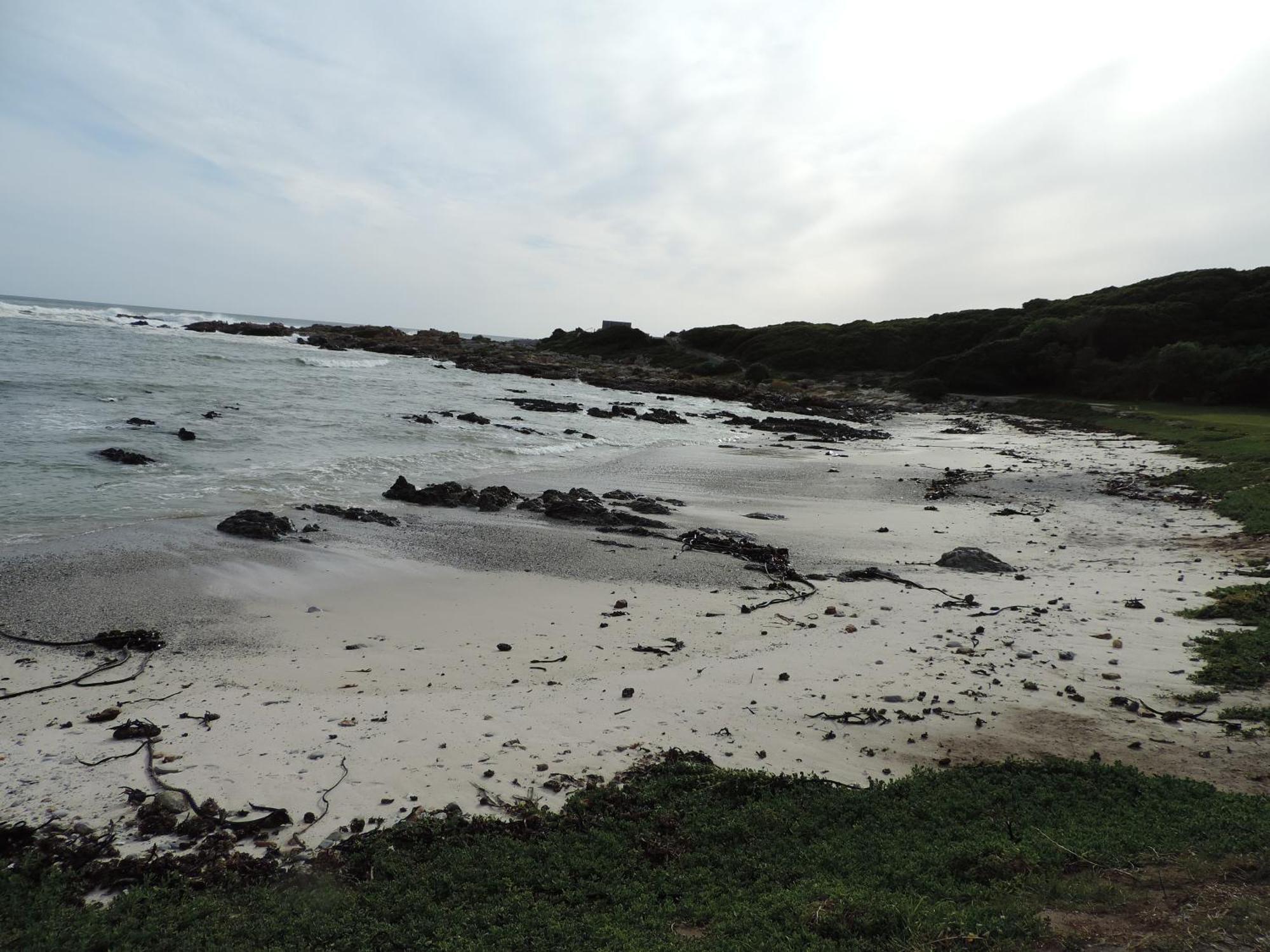 Wave Dancer Bed and Breakfast Gansbaai Buitenkant foto