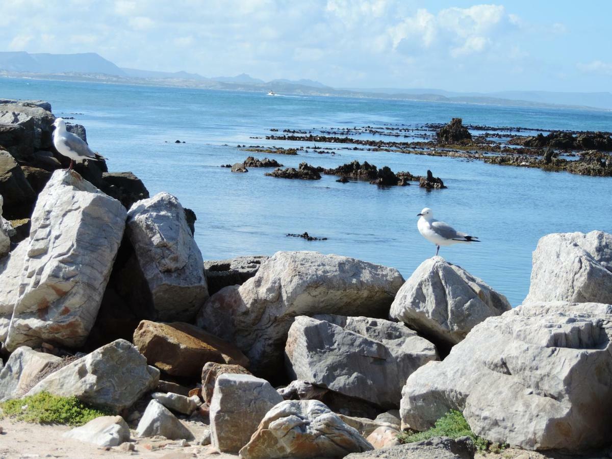 Wave Dancer Bed and Breakfast Gansbaai Buitenkant foto