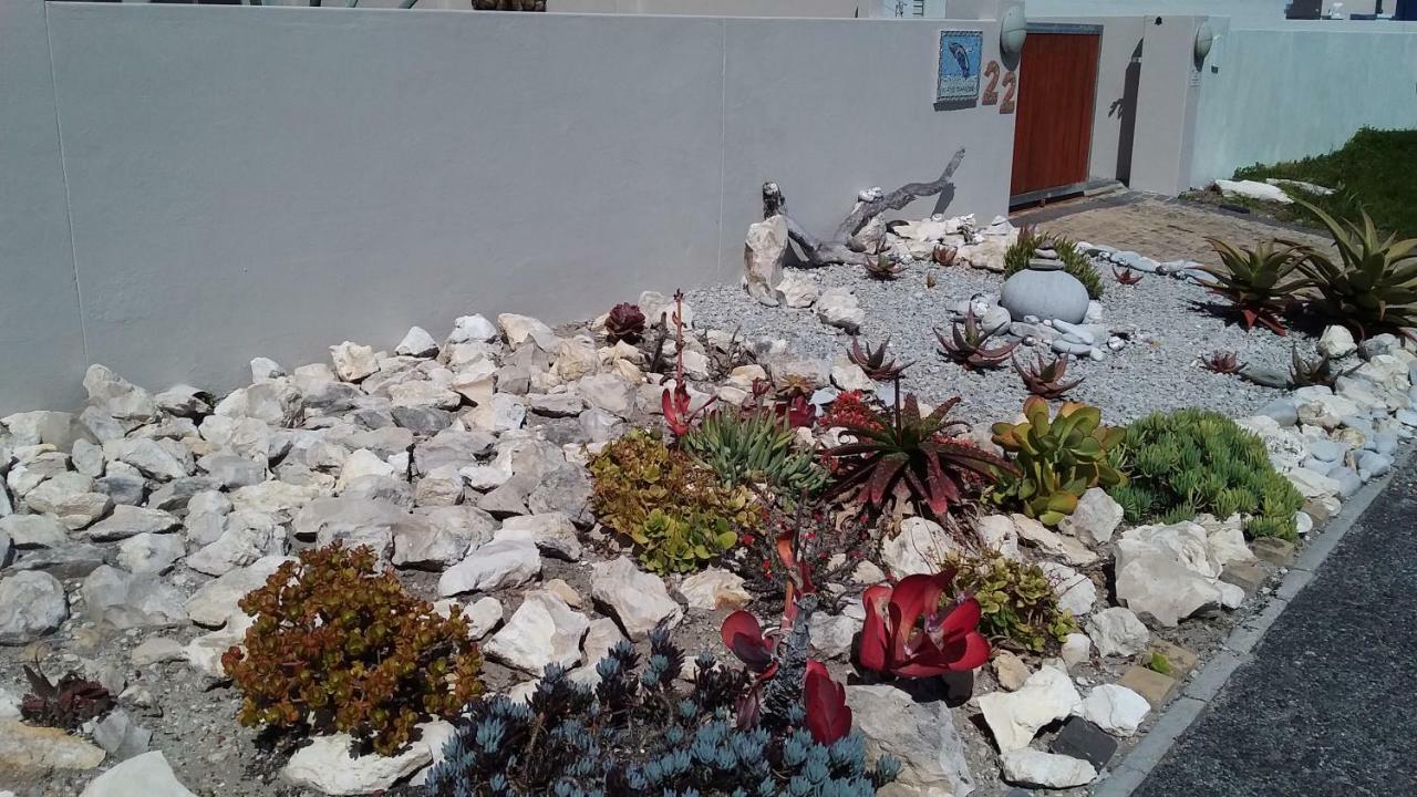 Wave Dancer Bed and Breakfast Gansbaai Buitenkant foto