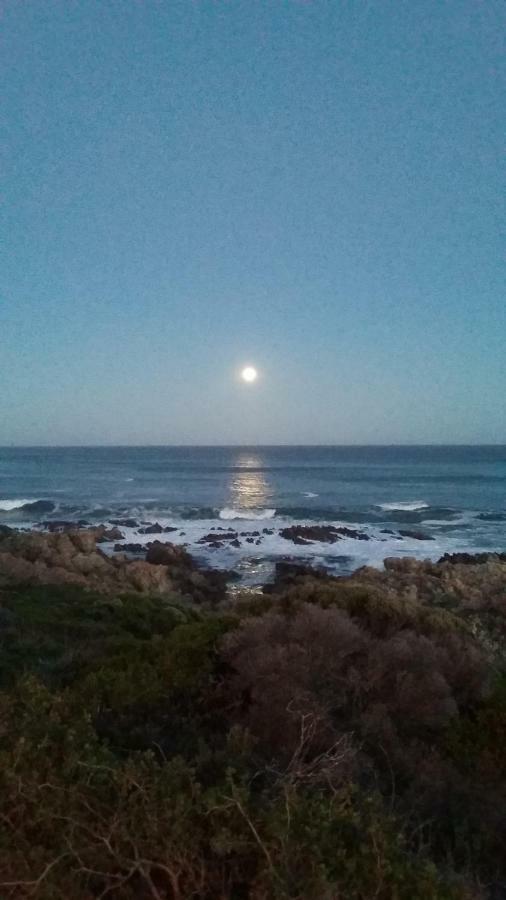 Wave Dancer Bed and Breakfast Gansbaai Buitenkant foto