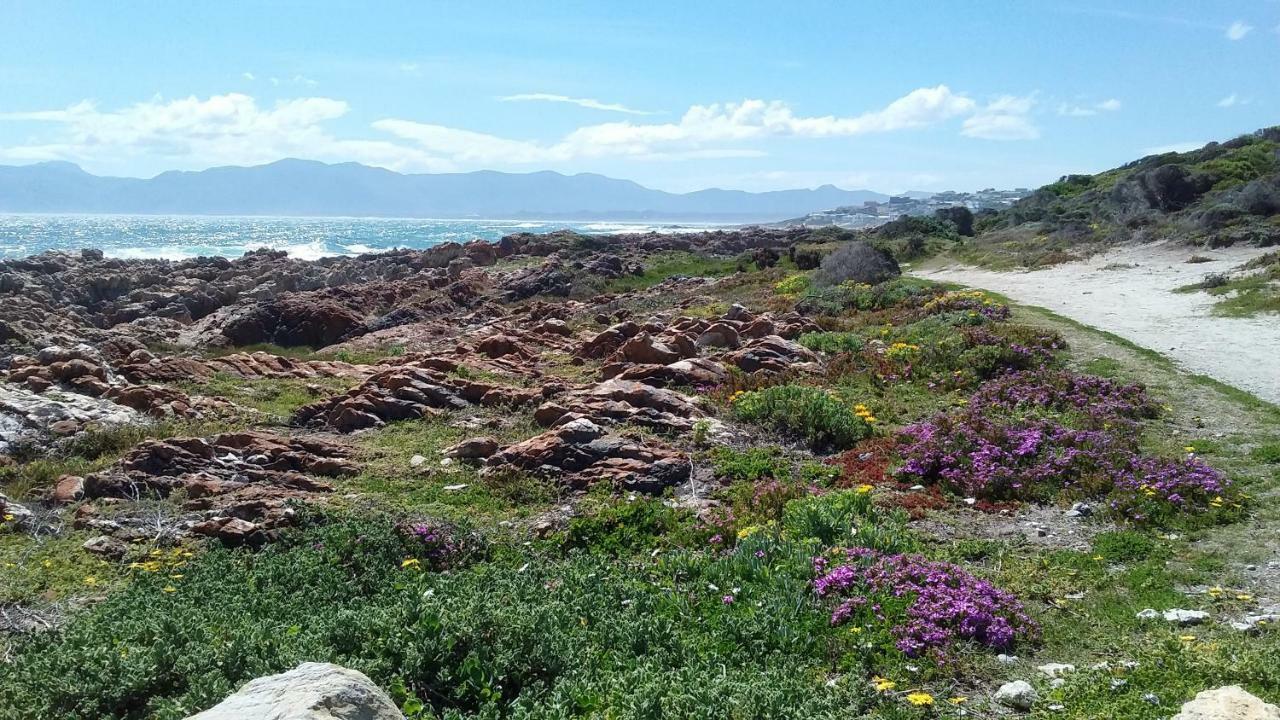 Wave Dancer Bed and Breakfast Gansbaai Buitenkant foto