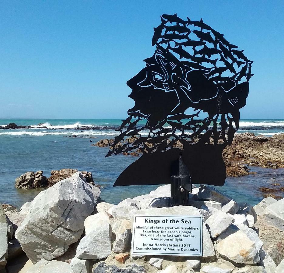 Wave Dancer Bed and Breakfast Gansbaai Buitenkant foto
